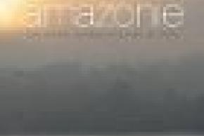 Enlarge the image